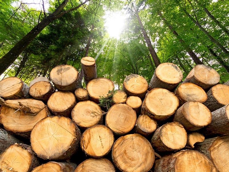 laftetommer-ringerike trelast skurlast vesetrud sagbruk